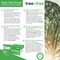 BAZIC TREE FREE (92) 8.5" X 11" White Copy Paper (500 Sheets/Ream)